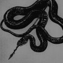 snakeskinshed avatar