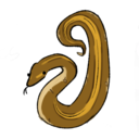 snakesnoots avatar