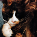 snakesnsnoodles avatar