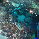 snakewrites9206 avatar