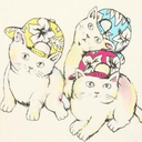 snapbacks-and-cats-t00 avatar