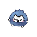 snapcracklepoppies avatar