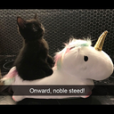 snape-in-my-boots avatar