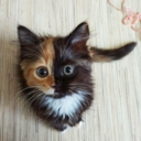 snapefanalways avatar