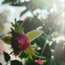 snapseverything avatar