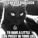 snarkilicious avatar