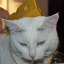 snarliest avatar