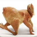 snatchmaster9000 avatar