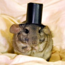 snazzy-rat-fool avatar