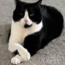 sneakysneakysideblog avatar