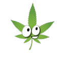sneakystoner avatar
