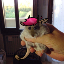 sneebles-mcgee avatar