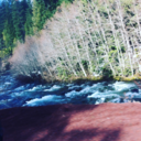 sneekysnake4321-blog avatar