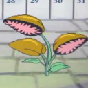 sneezeberries avatar