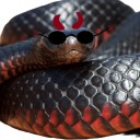 snek-crowley-archive avatar