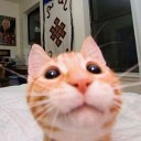 snickerdoodles-sims avatar