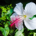 snickerdoodles19 avatar