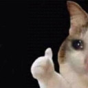 snitches-at-dawn avatar