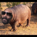 snoopapotamus avatar