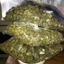 snoopcaliweedcoke avatar