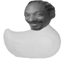 snoopduckwastaken avatar