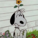 snoopygirl101 avatar