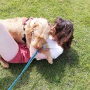 snooze-cruise avatar