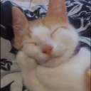 snoozingandlosing avatar