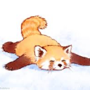 snoozingredpanda avatar