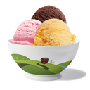 snoqualmieicecream avatar