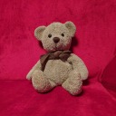 snorunt-enthusiast avatar