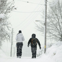 snow-andchristmas-blog avatar