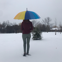 snowchicken73 avatar