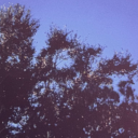 snowdust1101111 avatar