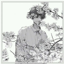 snowdustlilly avatar