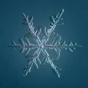 snowflakes-rulez avatar