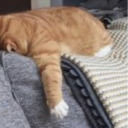 snowfromfallenclouds avatar