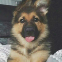 snowgirlwithhope avatar