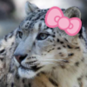 snowingleopard avatar