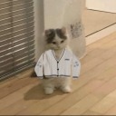 snowinthetunnel avatar