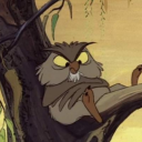 snowivyimconfusi avatar