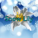 snowlily123 avatar