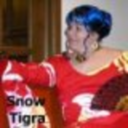 snowtigra avatar