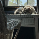 snowwflakessss avatar