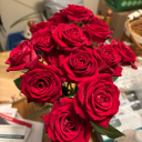 snowy-hydrangea avatar