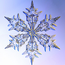 snowywintertime avatar