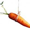 snsdcarrot avatar