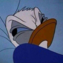 snuggle-lover avatar