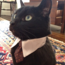 snugglycats-blog avatar