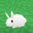 snugglymuffin2 avatar